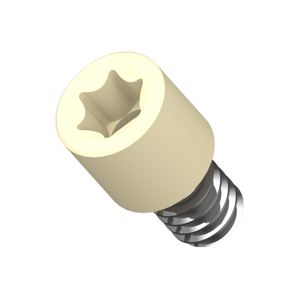 Product: Smart Denture Conversions Separable Fastener 10PK, ZimVie